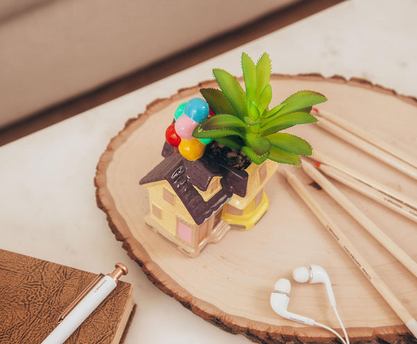 Disney and Pixar Up House 5-Inch Ceramic Mini Planter with Artificial Succulent