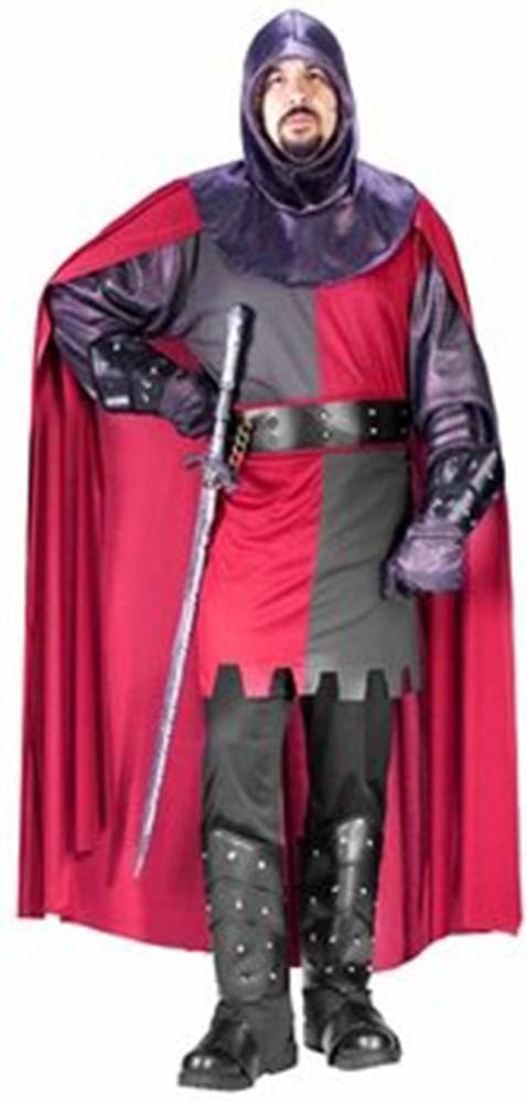 Valiant Knight Costume Adult Standard