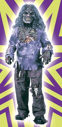 Complete Zombie Child Costume Medium