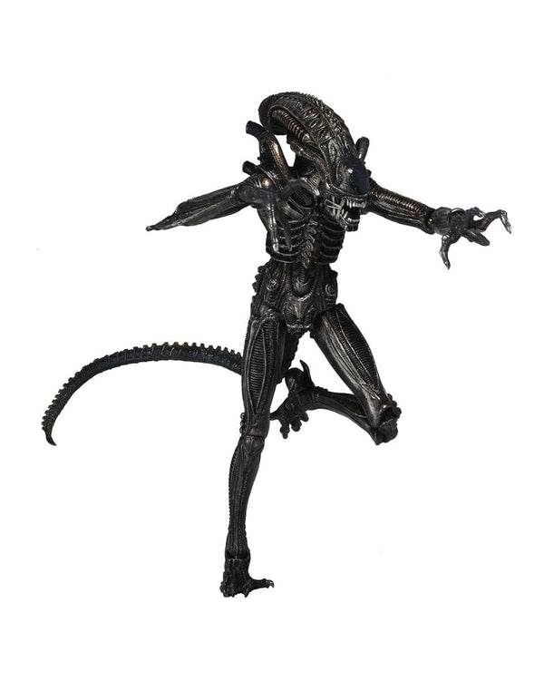 Aliens Series 5 7" Action Figure Genocide Black Xenomorph Warrior