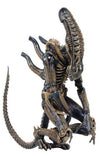 Alien Series 1 9" Deluxe Action Figure Xenomorph Warrior