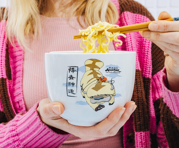 Avatar: The Last Airbender Aang and Appa Ceramic Ramen Bowl and Chopstick Set
