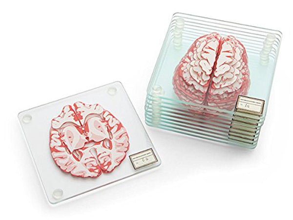 Brain Specimen 10-Piece Coaster Set