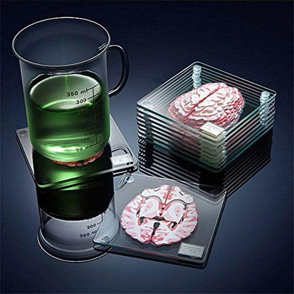 Brain Specimen 10-Piece Coaster Set