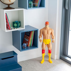 WWE Hulk Hogan Action Figure