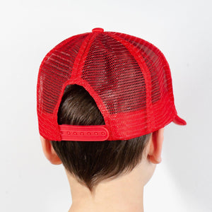 Pokemon Go collectible