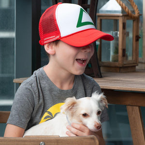 Pokemon Go collectible