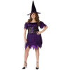 Dark Witch Costume Adult Plus Size