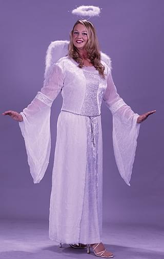 Heavenly Angel Adult Costume Plus Size