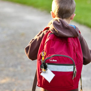 Attack On Titan Blind Bag