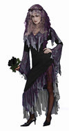 Zombie Bride Costume Dress & Veil Adult Size Standard